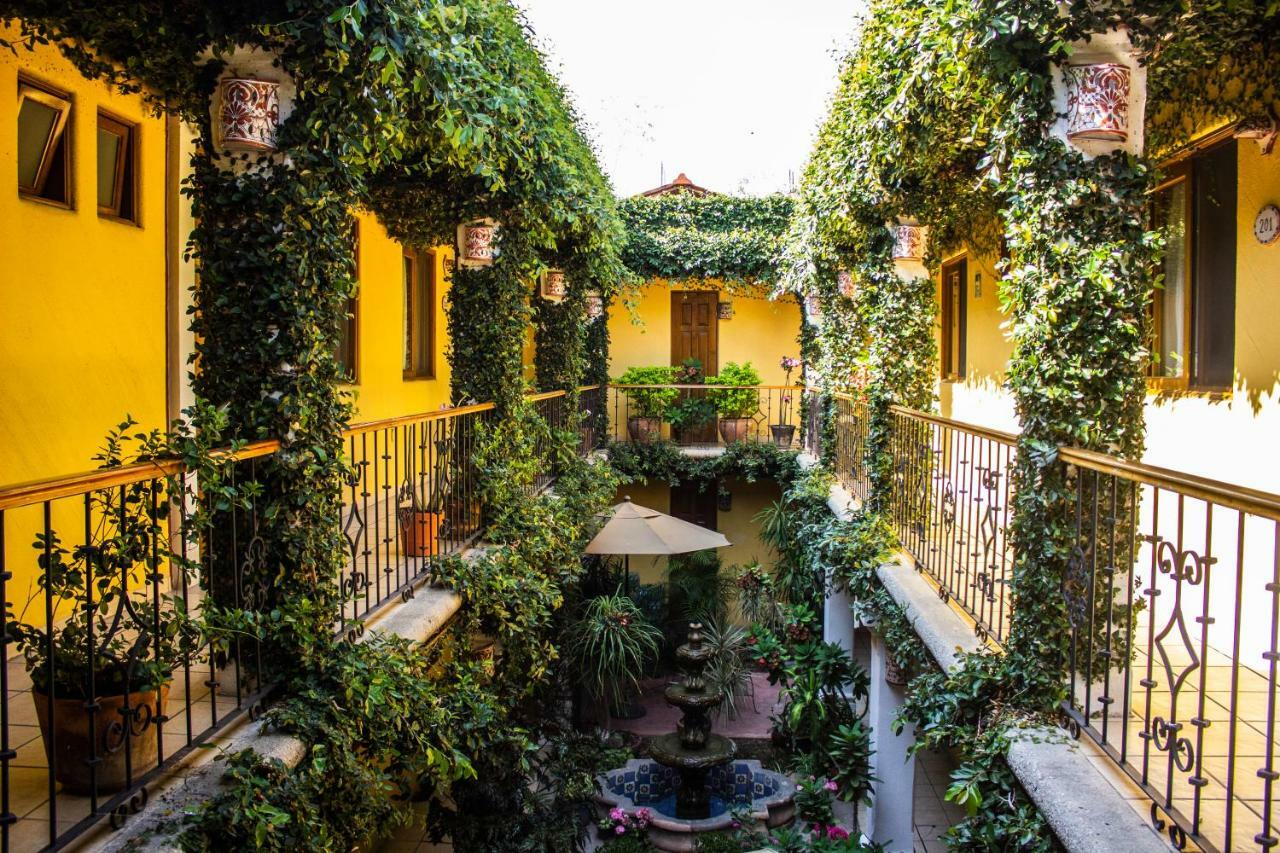Hotel Dainzu Oaxaca Kültér fotó