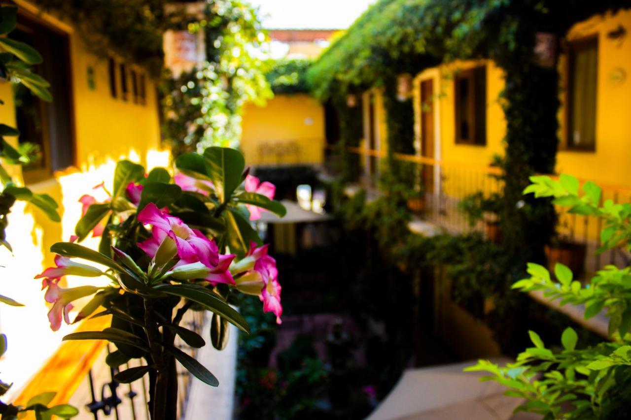 Hotel Dainzu Oaxaca Kültér fotó